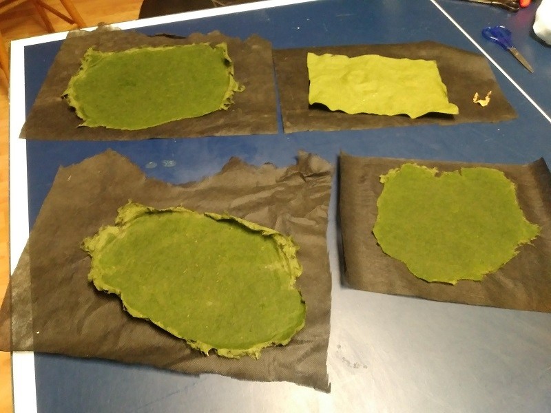Harvesting wild algae to make paper - Society for Science