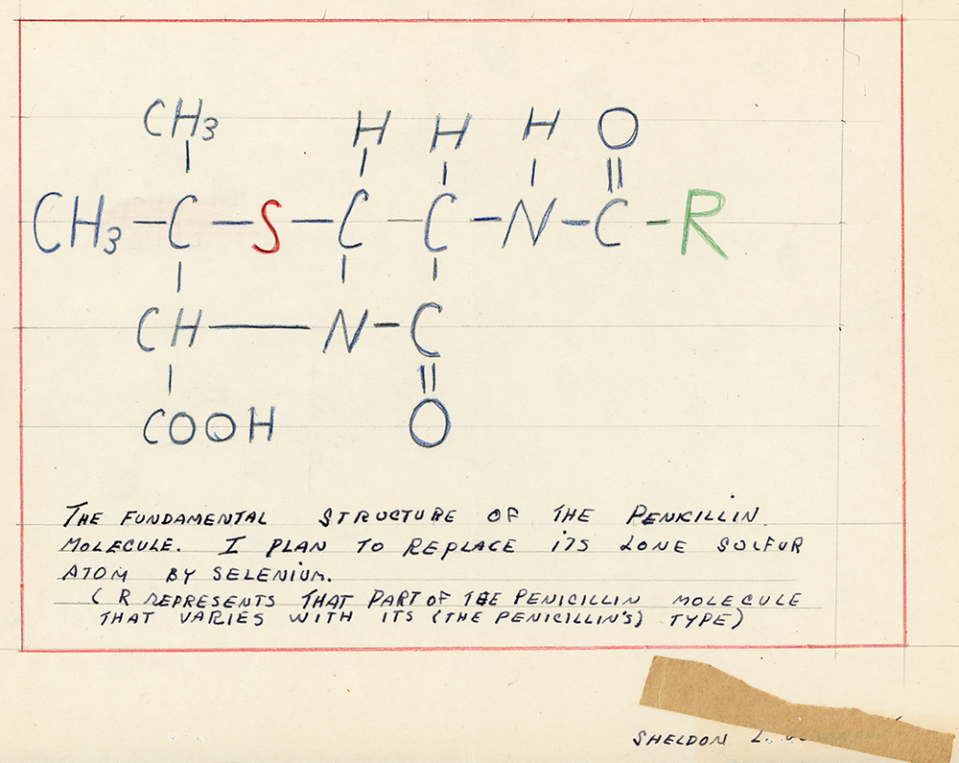 Notable Alumni - Sheldon Glashow