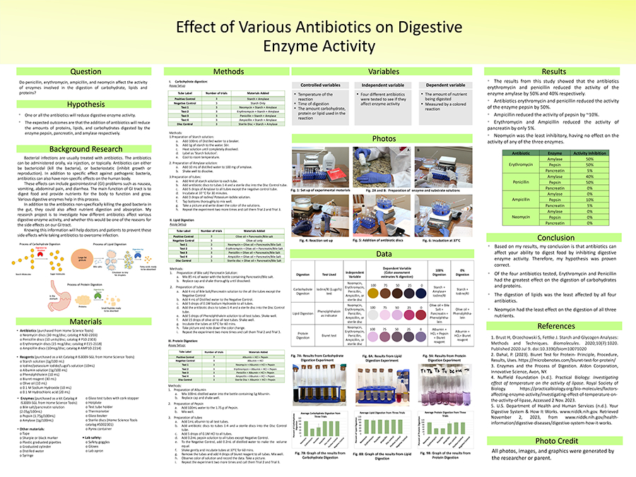 2024 Thermo Fisher JIC Finalist Arya Gowri Hirsave poster: Effect of Various Antibiotics on Digestive Enzyme Activity