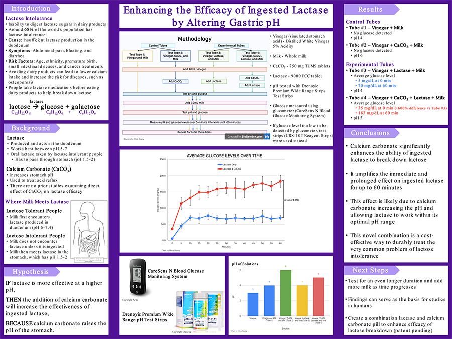 2024 Thermo Fisher JIC Finalist Olivia Huang poster: Enhancing the Efficacy of Ingested Lactase by Altering Gastric pH