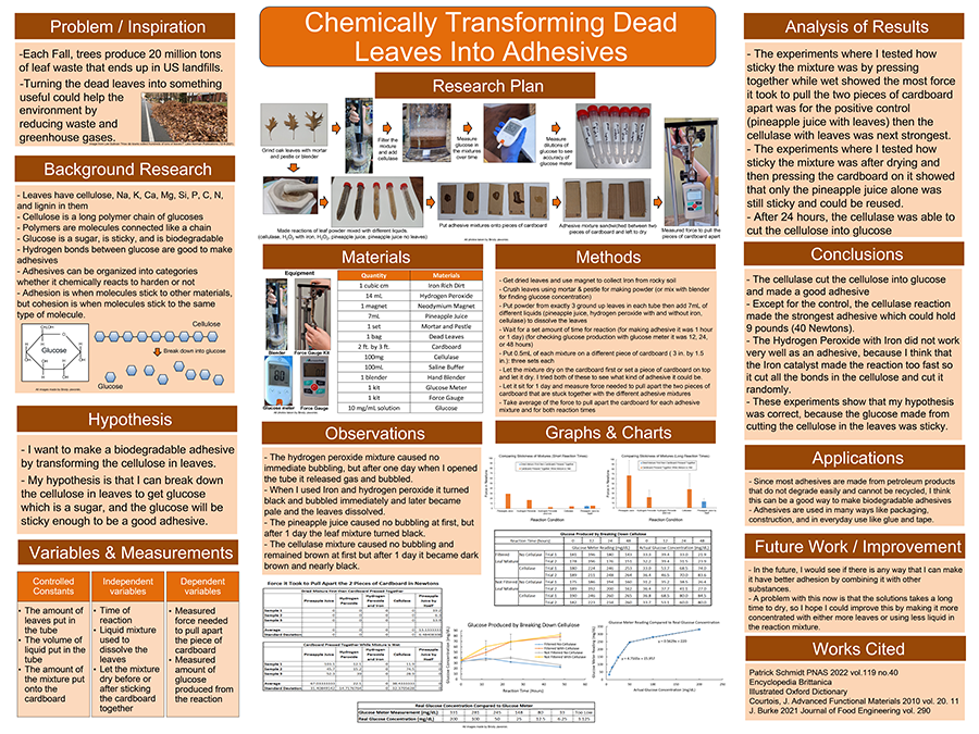 2024 Thermo Fisher JIC Finalist Brody Jaworski poster: Chemically Transforming Dead Leaves Into Adhesives