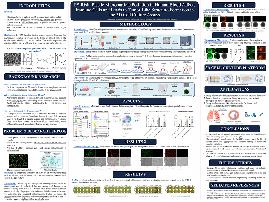 2024 Thermo Fisher JIC Finalist Anushka Sable poster: PS-Risk: Plastic Microparticle Pollution in Human Blood Affects Immune Cells and Leads to Tumor-Like Structure Formation in the 3D Cell Culture Assays