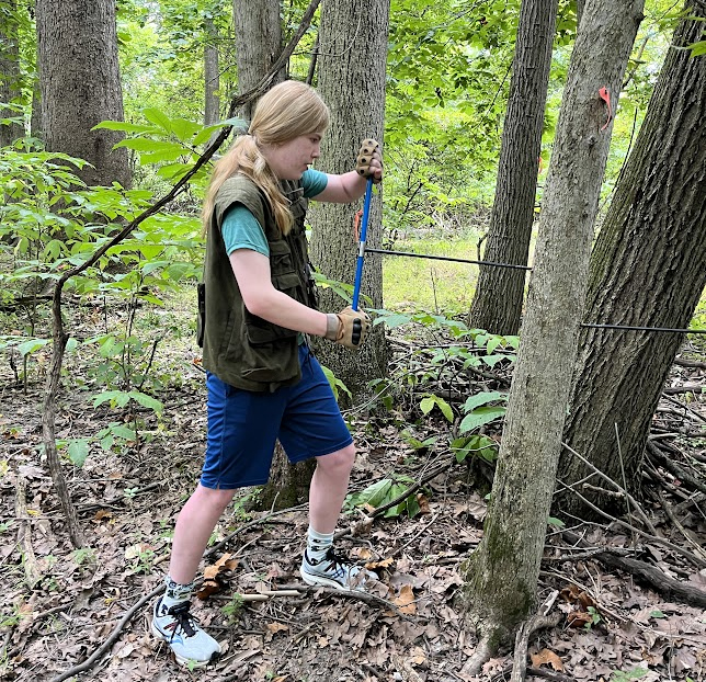 2024 Thermo Fisher JIC Finalist Leif Speer