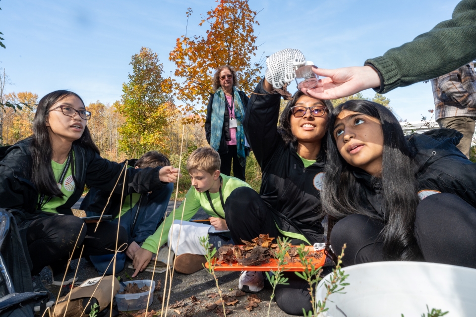 The green team collecting samples.