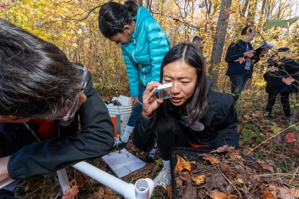 Members of the orange team kneeling, observing samples in a small glass jar.