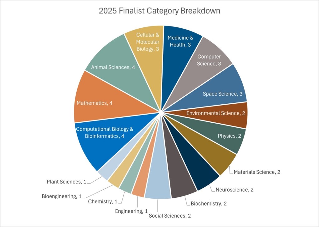 Pie chart of finalists' project categories, by percent.