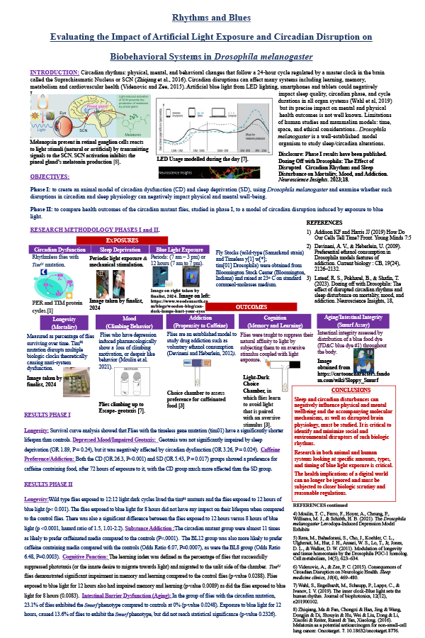 2025 Science Talent Search Finalist Rania Lateef Poster: Rhythms and Blues: Evaluating the Impact of Artificial Light Exposure and Circadian Disruption on Biobehavioral Systems in Drosophila melanogaster