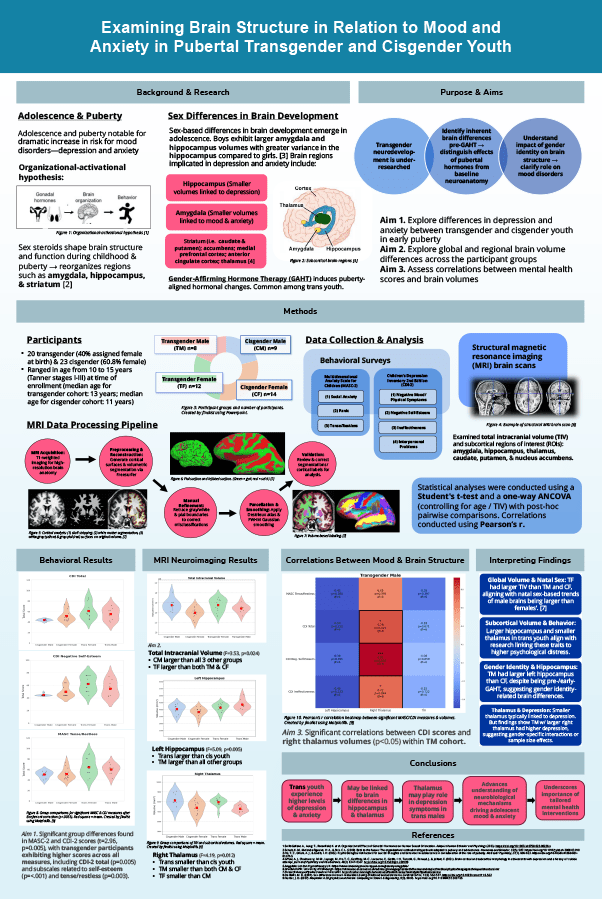 2025 Science Talent Search Finalist Poster: Examining Brain Structure and Mental Health Differences in Pubertal Transgender and Cisgender Youth