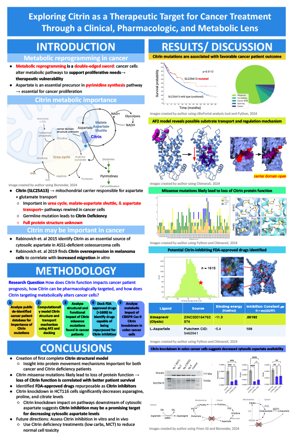 2025 Science Talent Search Finalist Poster: Citrin as a Therapeutic Target Clinically, Pharmacologically and Metabolically