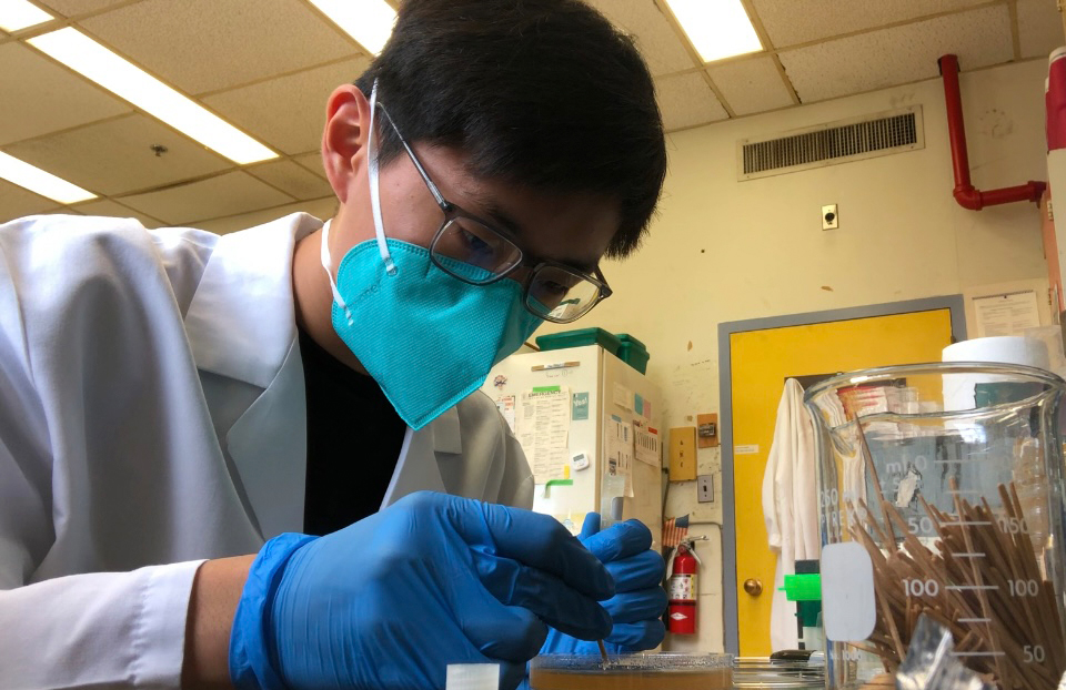 2025 Science Talent Search Finalist