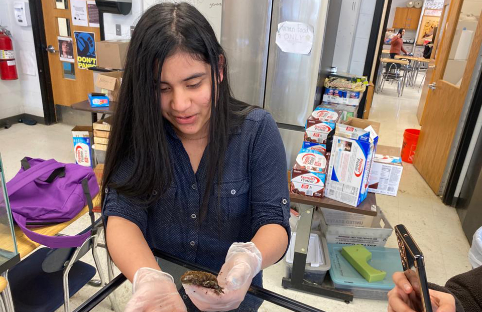 2025 Science Talent Search Finalist