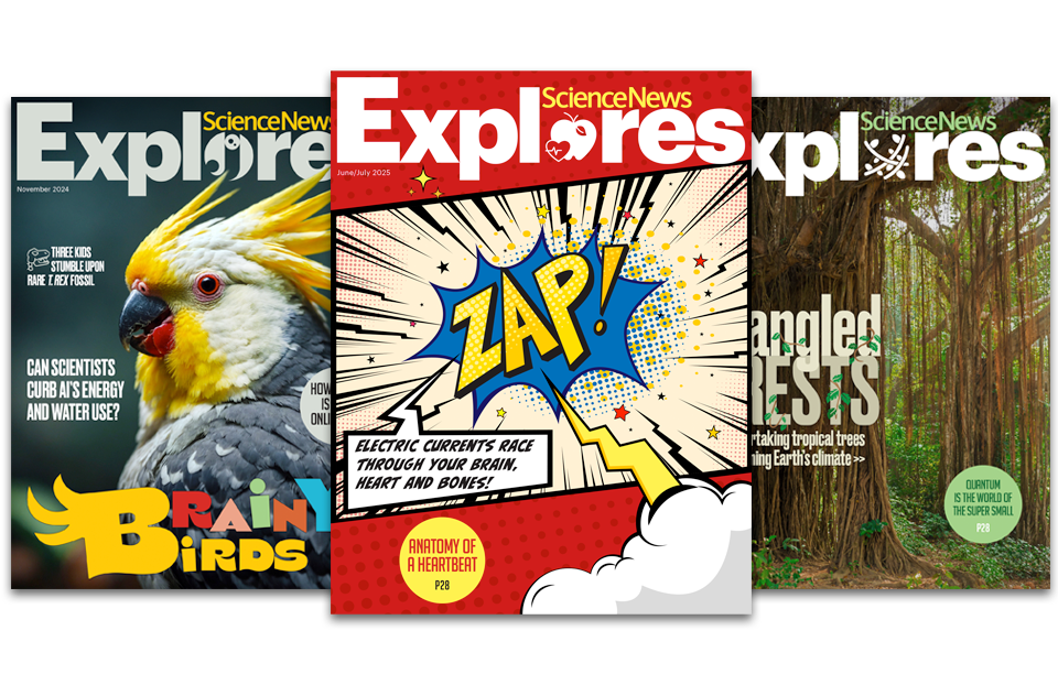 Science News Explores is an award-winning publication dedicated to providing age-appropriate, topical science news to learners, parents and educators.