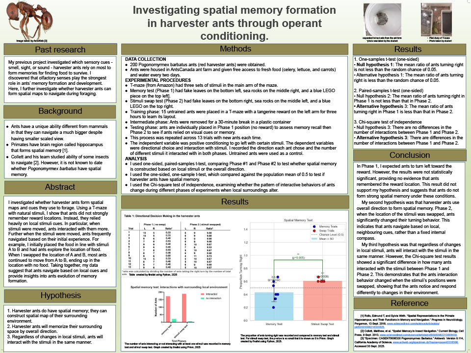2025 Thermo Fisher JIC finalist Seungah Chung poster: Investigating Spatial Memory Formation in Harvester Ants Through Operant Conditioning