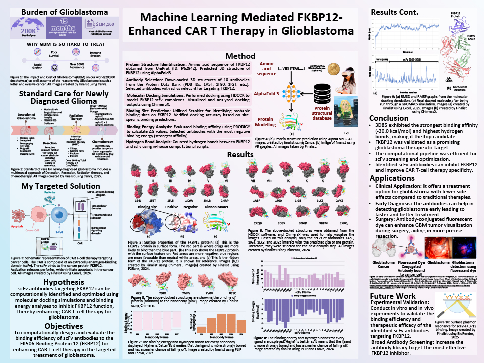 2025 Thermo Fisher JIC Pranshi Mehta: Machine Learning-Mediated Computational Modeling of FK506-Binding Protein 12 (FKBP12)-Enhanced CAR T-Cell Therapy for Targeted Glioblastoma Treatment