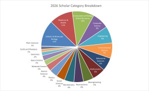 Pie graph showing the breakdown of scholars' project categories
