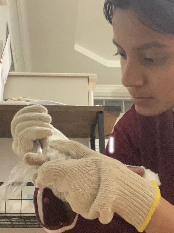 2026 Science Talent Search Finalist: