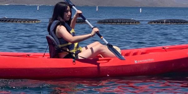 2026 Science Talent Search Finalist: Celine Zhang