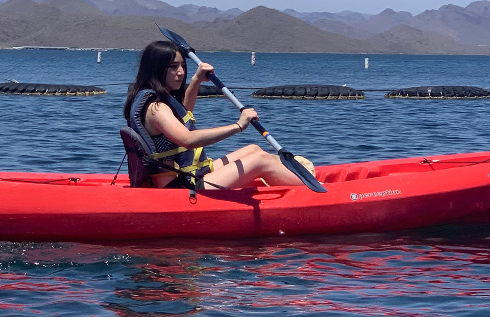 2026 Science Talent Search Finalist: Celine Zhang