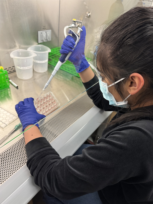 2026 Science Talent Search Finalist: