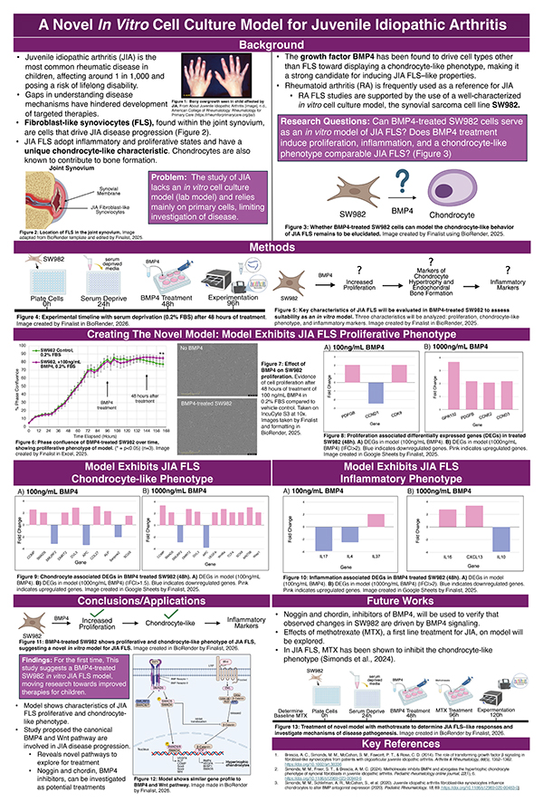 2026 Science Talent Search Finalist: Claire Jiang: A Novel In Vitro Cell Culture Model for Juvenile Idiopathic Arthritis
