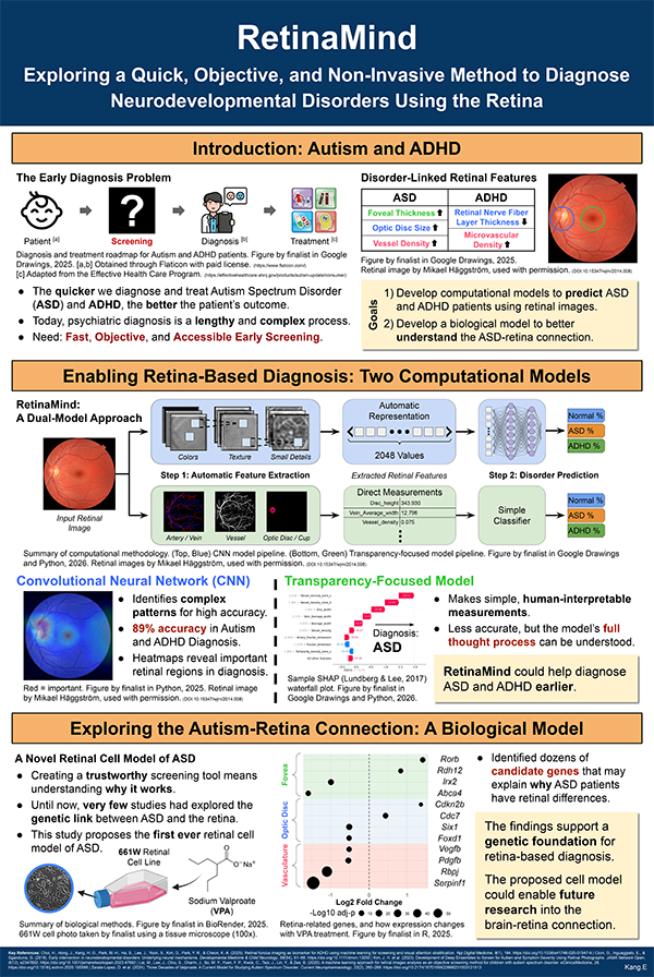 2026 Science Talent Search Finalist Edward Kang; RetinaMind: Novel In Silico and In Vitro Retinal Models of Neurodevelopmental Disorders
