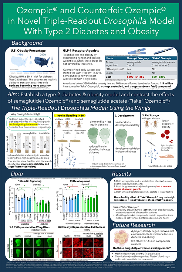 Ozempic® and Counterfeit Ozempic in Novel Drosophila Model With Type-2 Diabetes and Obesity