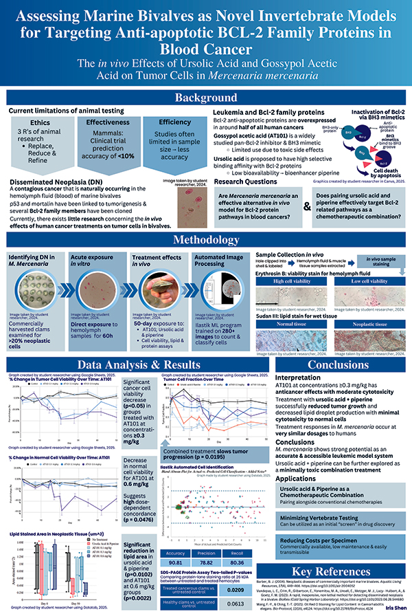 2026 Science Talent Search Finalist Iris Shen: Marine Bivalves for Modeling BCL-2 in Blood Cancer
