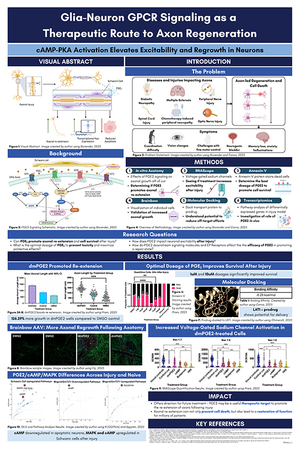 GPCR Signaling as a Therapeutic Target for Axon Regeneration Following Injury