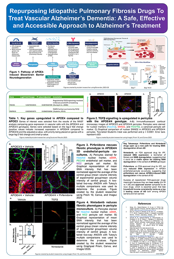 Investigating and Treating APOE4-Driven Vascular Alzheimer’s Dementia Using Pulmonary Fibrosis Drugs