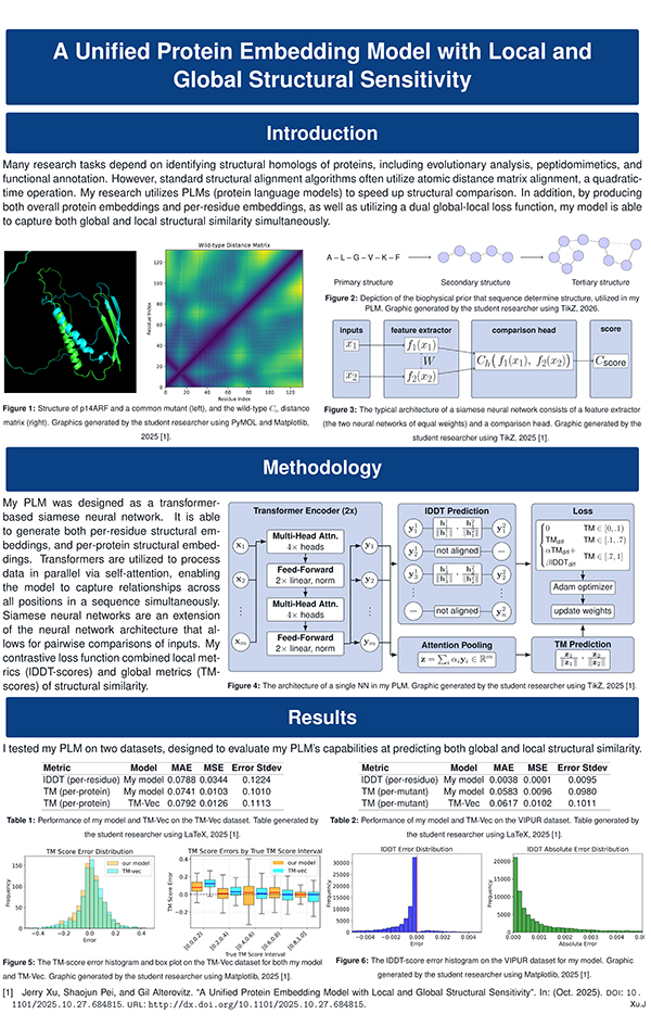A Unified Protein Embedding Model With Local and Global Structural Sensitivity