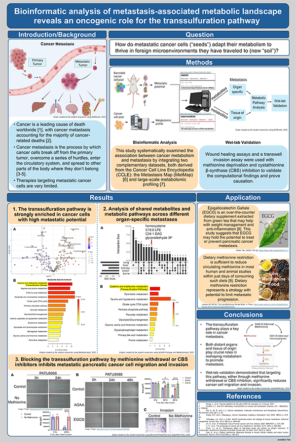 Bioinformatic Discovery of the Transsulfuration Pathway in Metastatic Cancer