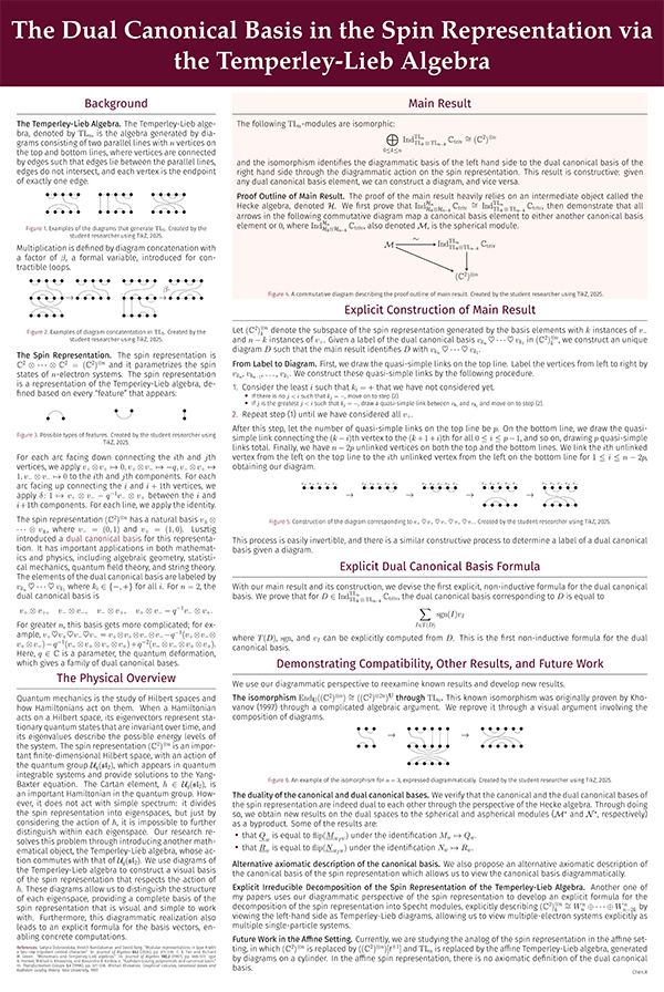 STS 2026 Rachel Chen: The Dual Canonical Basis in the Spin Representation via the Temperley-Lieb Algebra