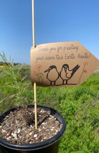 2026 Earth Day Blog Post featuring our STEM Action Grantees.