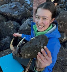 Julie Sieg with a shore crab during fieldwork. Photo courtesy of Julie Sieg.