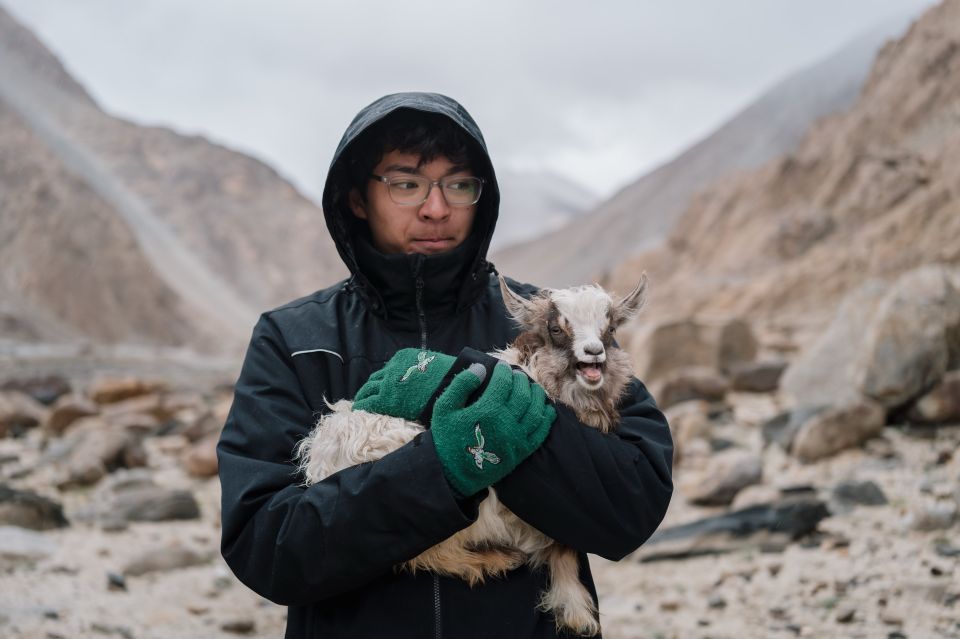 Regeneron STS 2026 finalist and alum holding a baby pashmina goat in Ladakh, India.