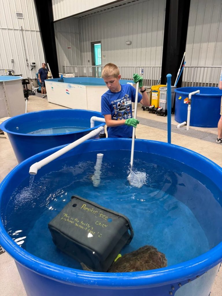Caden Pohlkamp spent his summer at the Karen Beasley Sea Turtle Rescue and Rehabilitation Center.
