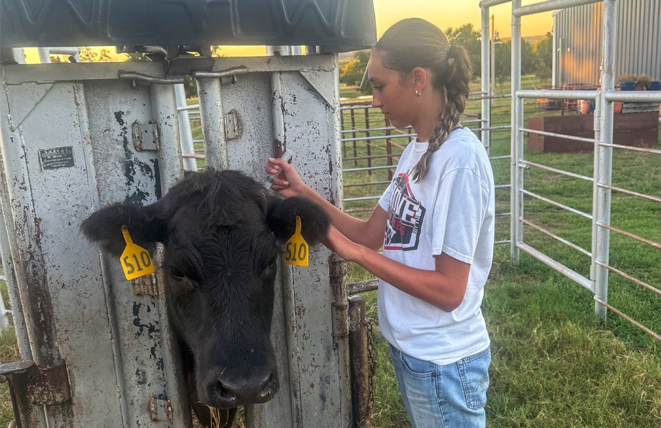 2026 Thermo Fisher Scientific Junior Innovators Challenge Finalist - Locklyn Raye Ward