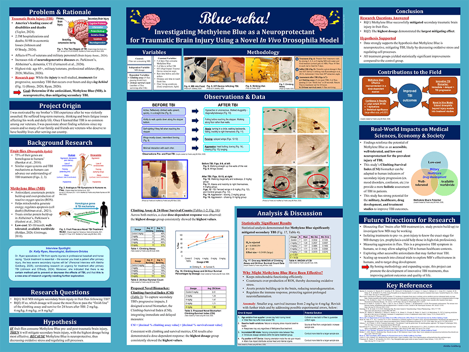 2026 Thermo Fisher Scientific Junior Innovators Challenge Finalist - Alekha Goldberg: Blue-reka! Investigating Methylene Blue as a Neuroprotectant for Traumatic Brain Injury Using a Novel In Vivo Drosophila Model